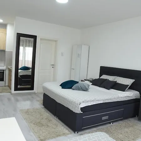 Διαμέρισμα Sofronic 2 Loznica
