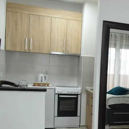 Apartment Sofronic 2 Loznica