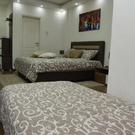 Sofronic 2 דירה לוזניצה