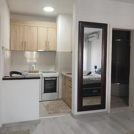 Sofronic 2 דירה לוזניצה