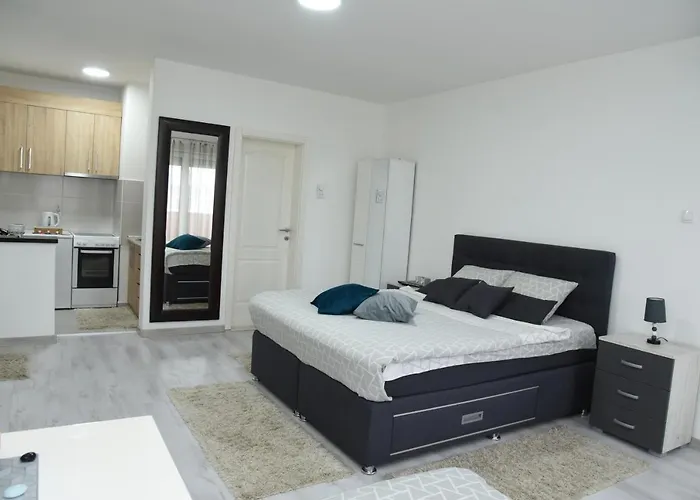 Apartament Sofronic 2 Loznica