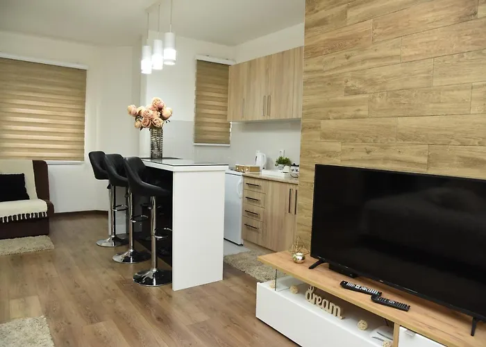 Apartament Sofronic 2