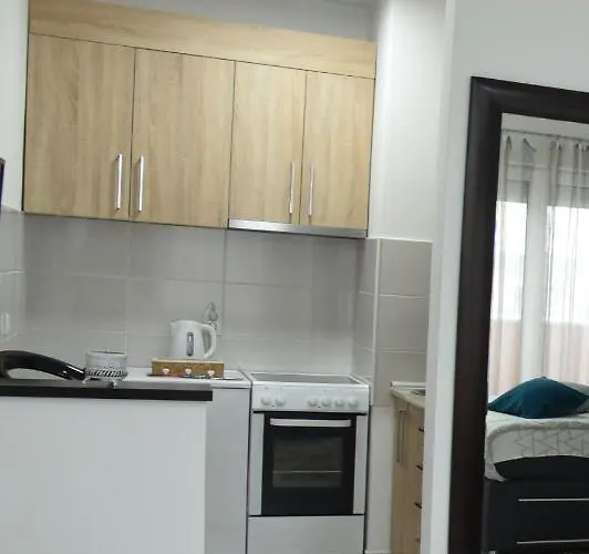 Apartament Sofronic 2 Loznica