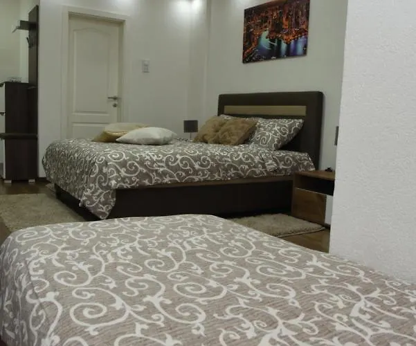 Sofronic 2 Apartament Loznica