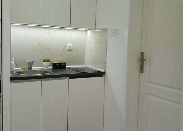 Sofronic 2 Apartament Loznica