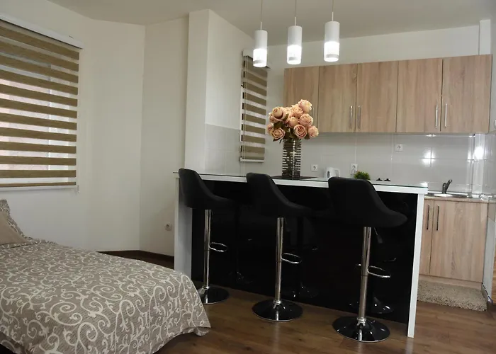 Apartament Sofronic 2 *