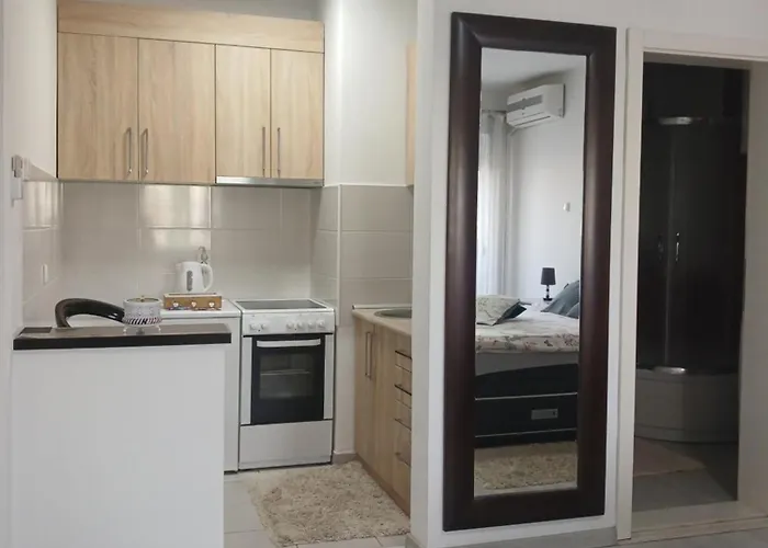 Sofronic 2 Apartament Loznica