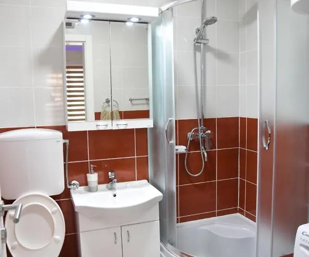 Apartament Sofronic 2 Loznica
